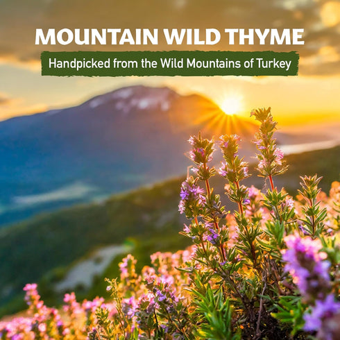Eastanbul Wild Thyme, 1.76oz Mediterranean Zatar Thyme Seasoning, AKA Thymbra Spicata, Spiked thyme, For Tea & Culinary Seasoning, Dried Thyme Lea...